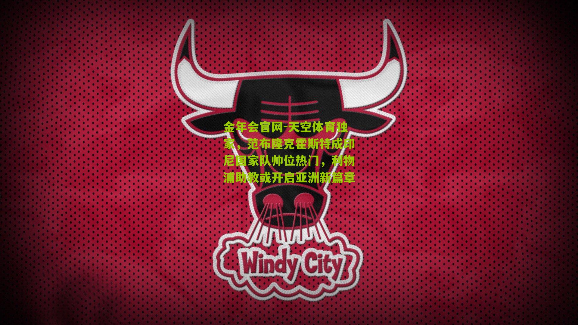 天空体育独家，范布隆克霍斯特成印尼国家队帅位热门，利物浦助教或开启亚洲新篇章