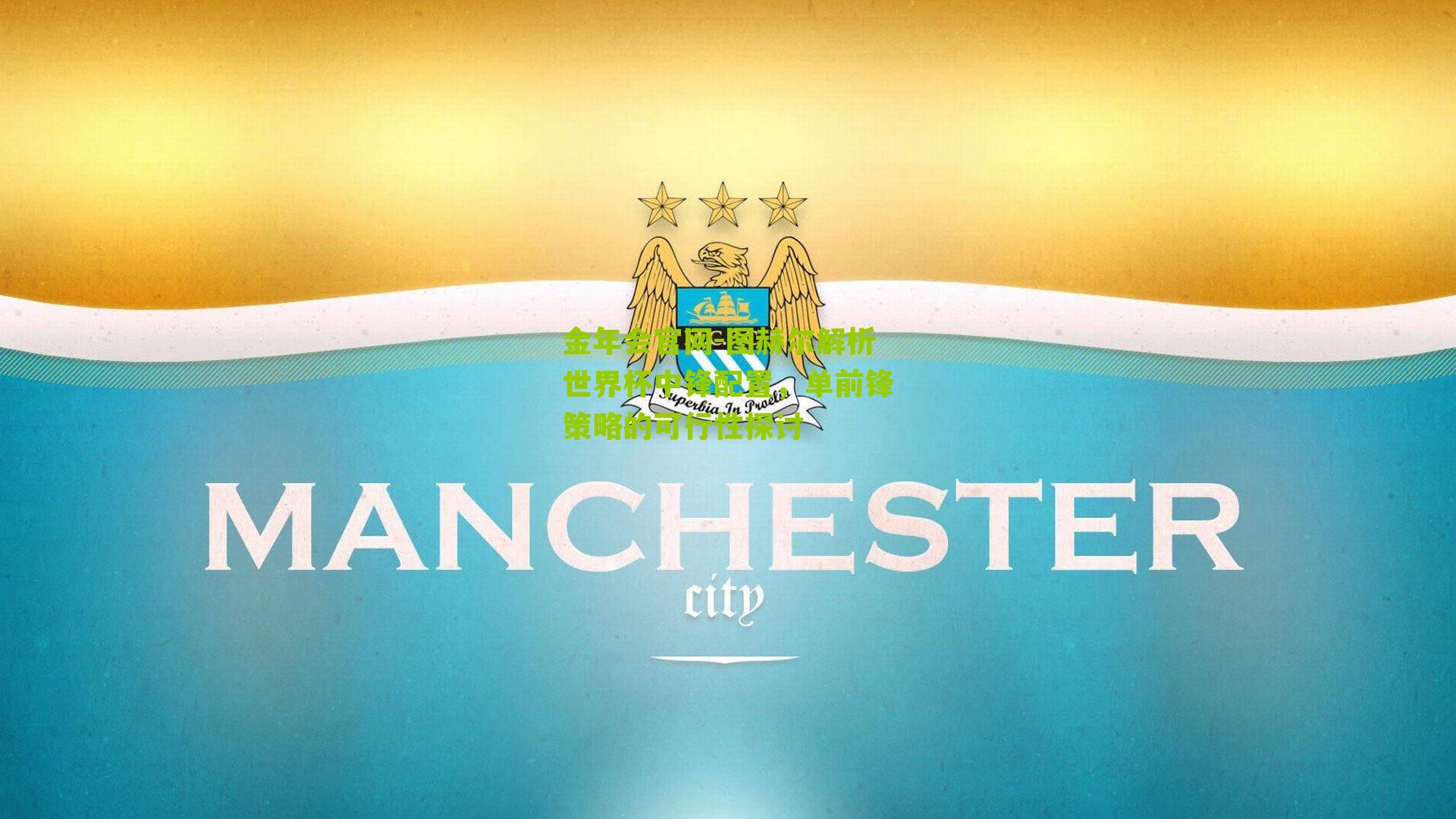 图赫尔解析世界杯中锋配置,单前锋策略的可行性探讨